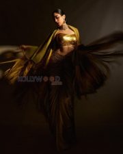 Peddi Actress Janhvi Kapoor in a Gold metallic strapless blouse and earthy saree Photos 04
