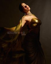 Peddi Actress Janhvi Kapoor in a Gold metallic strapless blouse and earthy saree Photos 06