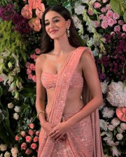 Petite Babe Ananya Panday in a Golden Shimmer Saree Pictures 02