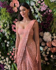 Petite Babe Ananya Panday in a Golden Shimmer Saree Pictures 04
