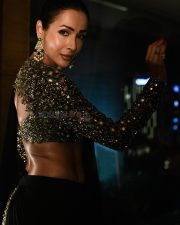 Poison Baby Actress Malaika Arora in a Full Sleeved Cropped Embellished Sequinned Blouse with a Classic Black Saree Photos 06