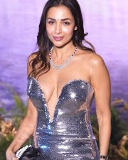 Poison Baby Actress Malaika Arora in a Silver Sequin Strapless Bodycon Dress with a Daring Plunging Neckline Photos 02