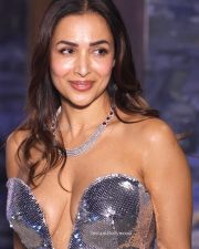 Poison Baby Actress Malaika Arora in a Silver Sequin Strapless Bodycon Dress with a Daring Plunging Neckline Photos 04