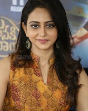 Pretty Actress Rakul Preet Singh Interview Photos