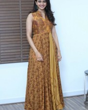 Pretty Actress Rakul Preet Singh Interview Photos