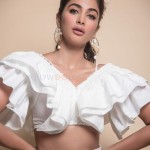 Pooja Hegde 11