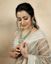 Pretty Trisha Krishnan in a See Through Sequin Saree with a Green and White Necklace Photos 01
