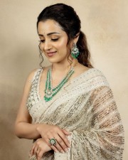 Pretty Trisha Krishnan in a See Through Sequin Saree with a Green and White Necklace Photos 02