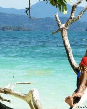 Priyamani Hot And Sexy Stills