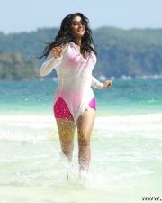 Priyamani Hot And Sexy Stills
