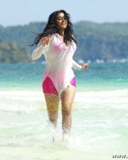 Priyamani Hot And Sexy Stills