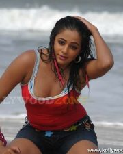 Priyamani Hot Cleavage Pictures