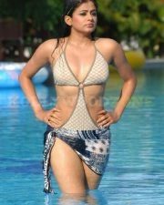Priyamani Hot Sexy Pictures