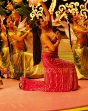 Priyamani In Ragada Movie Stills