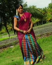Priyamani In Saree Photos