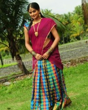 Priyamani In Saree Photos