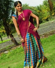 Priyamani In Saree Photos
