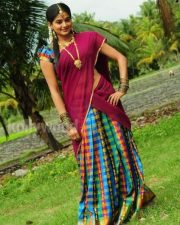 Priyamani In Saree Photos