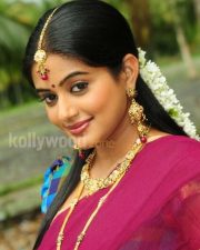 Priyamani In Saree Photos