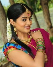 Priyamani In Saree Photos