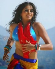 Priyamani Sexy Hot Bikini Pictures
