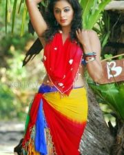 Priyamani Sexy Hot Bikini Pictures