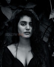 Provocative Priya Prakash Varrier Photos 08