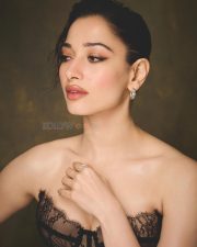 Purushan Heroine Tamannaah Bhatia in an Off Shoulder Black Lace Corset Nude Gown Photos 01