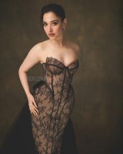 Purushan Heroine Tamannaah Bhatia in an Off Shoulder Black Lace Corset Nude Gown Photos 02