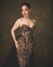 Purushan Heroine Tamannaah Bhatia in an Off Shoulder Black Lace Corset Nude Gown Photos 06