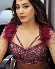 Raashii Khanna in a Purple Outfit at Filmfare Awards Photos 01