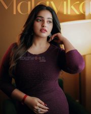 Radiant Actress Malavika Menon in a Burgundy Dress with Gold Jewelry Photos 04