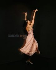 Radiant Actress Pooja Hegde in a Blush Pink Organza Strapless Gown Photos 05