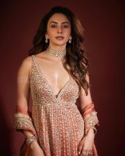 Radiant Actress Rakul Preet Singh in a Pink Embroidered Lehenga Photos 02