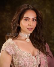 Radiant Actress Rakul Preet Singh in a Pink Embroidered Lehenga Photos 03
