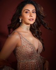 Radiant Actress Rakul Preet Singh in a Pink Embroidered Lehenga Photos 05