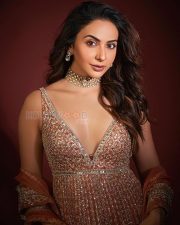 Radiant Actress Rakul Preet Singh in a Pink Embroidered Lehenga Photos 06