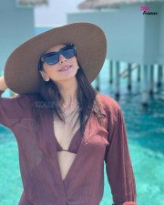 Rakul Preet Singh in a Brown Lingerie Maldives Holiday Photos 02