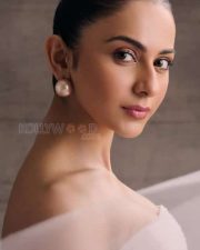 Rakul Preet Singh in a Pink Strapless Long Gown Photos 01 Rakul Preet Singh in a Pink Strapless Long Gown Photos 01