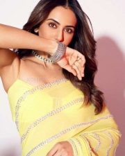 Rakul Preet Singh in a Yellow Transparent Saree Picture 01