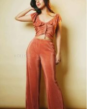 Ravasura Heroine Anu Emmanuel Sexy Pictures 01
