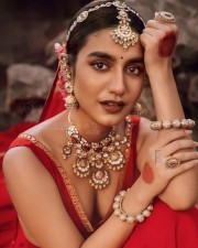 Red Hot Priya Prakash Varrier Photos 03