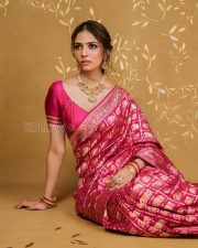 Resplendent Actress Malavika Mohanan in a Pink Elephant Zari Banarasi Saree Photos 03 Resplendent Actress Malavika Mohanan in a Pink Elephant Zari Banarasi Saree Photos 03