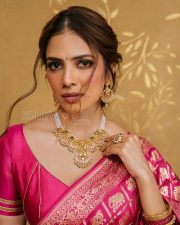 Resplendent Actress Malavika Mohanan in a Pink Elephant Zari Banarasi Saree Photos 05 Resplendent Actress Malavika Mohanan in a Pink Elephant Zari Banarasi Saree Photos 05