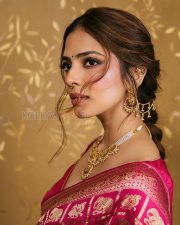Resplendent Actress Malavika Mohanan in a Pink Elephant Zari Banarasi Saree Photos 06 Resplendent Actress Malavika Mohanan in a Pink Elephant Zari Banarasi Saree Photos 06