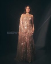 Resplendent Actress Raashi Khanna in a Gold Glitter Cape Gown Photos 01