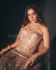 Resplendent Actress Raashi Khanna in a Gold Glitter Cape Gown Photos 06