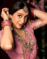Resplendent Actress Regina Cassandra in a Pink Embroidered Silk Saree Photos 01