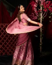 Resplendent Actress Regina Cassandra in a Pink Embroidered Silk Saree Photos 04