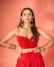 Rocking Beauty Rakul Preet Singh in a Red Crop Top and Skirt Photos 03